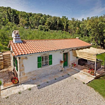 Roinizza In Prtlog Villa Labin  Exteriör bild