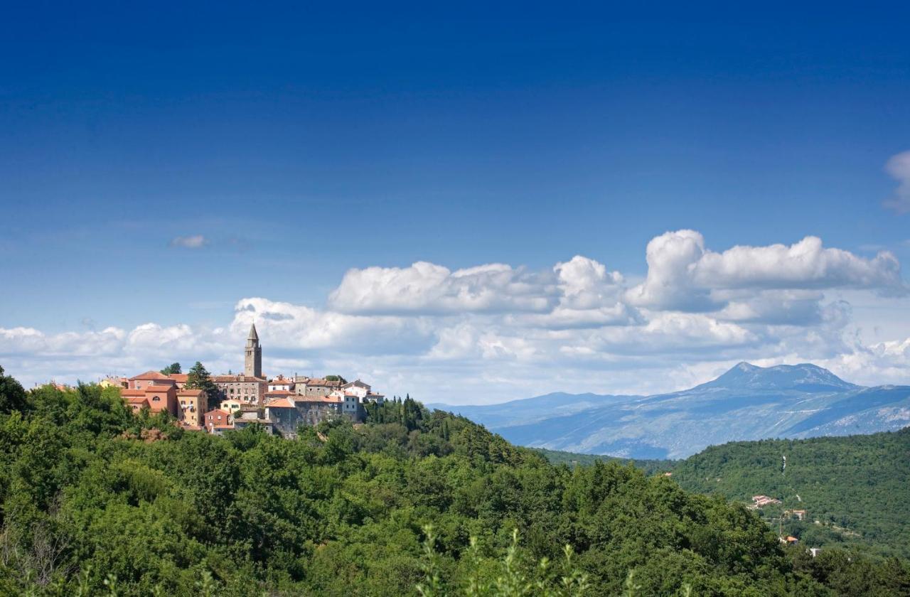 Roinizza In Prtlog Villa Labin  Exteriör bild