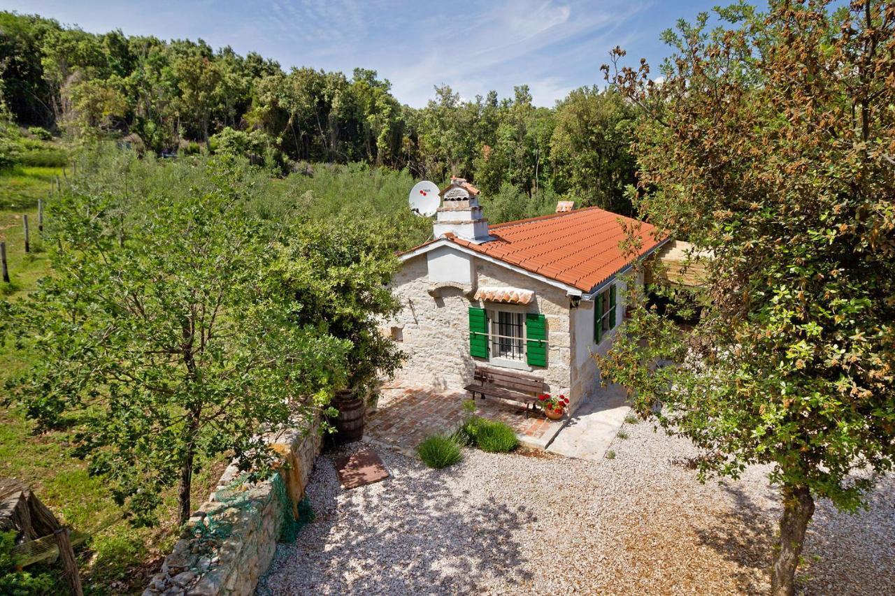 Roinizza In Prtlog Villa Labin  Exteriör bild